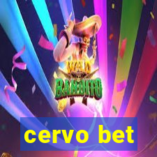 cervo bet